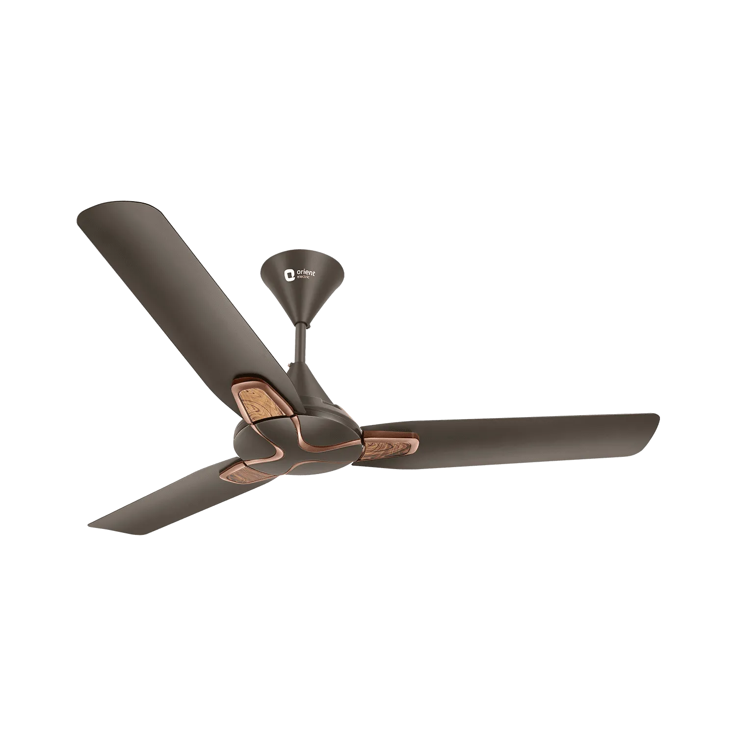 1200MM Jazz Trendz Decorative Ceiling Fan
