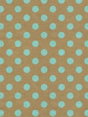 Aqua Polka Dots Photography Backdrop
