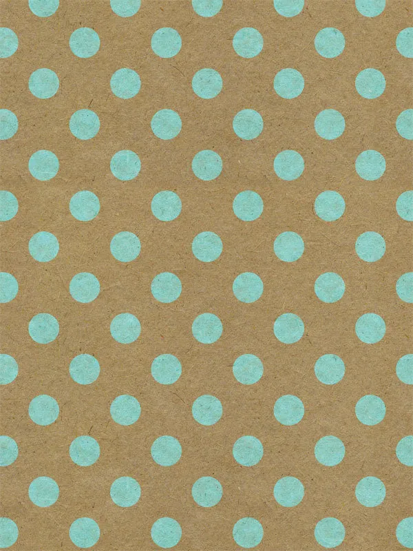 Aqua Polka Dots Photography Backdrop
