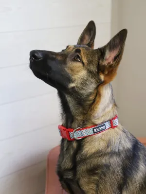 Light Blue & Red Polka Dots Cute Comfy Dog Collar