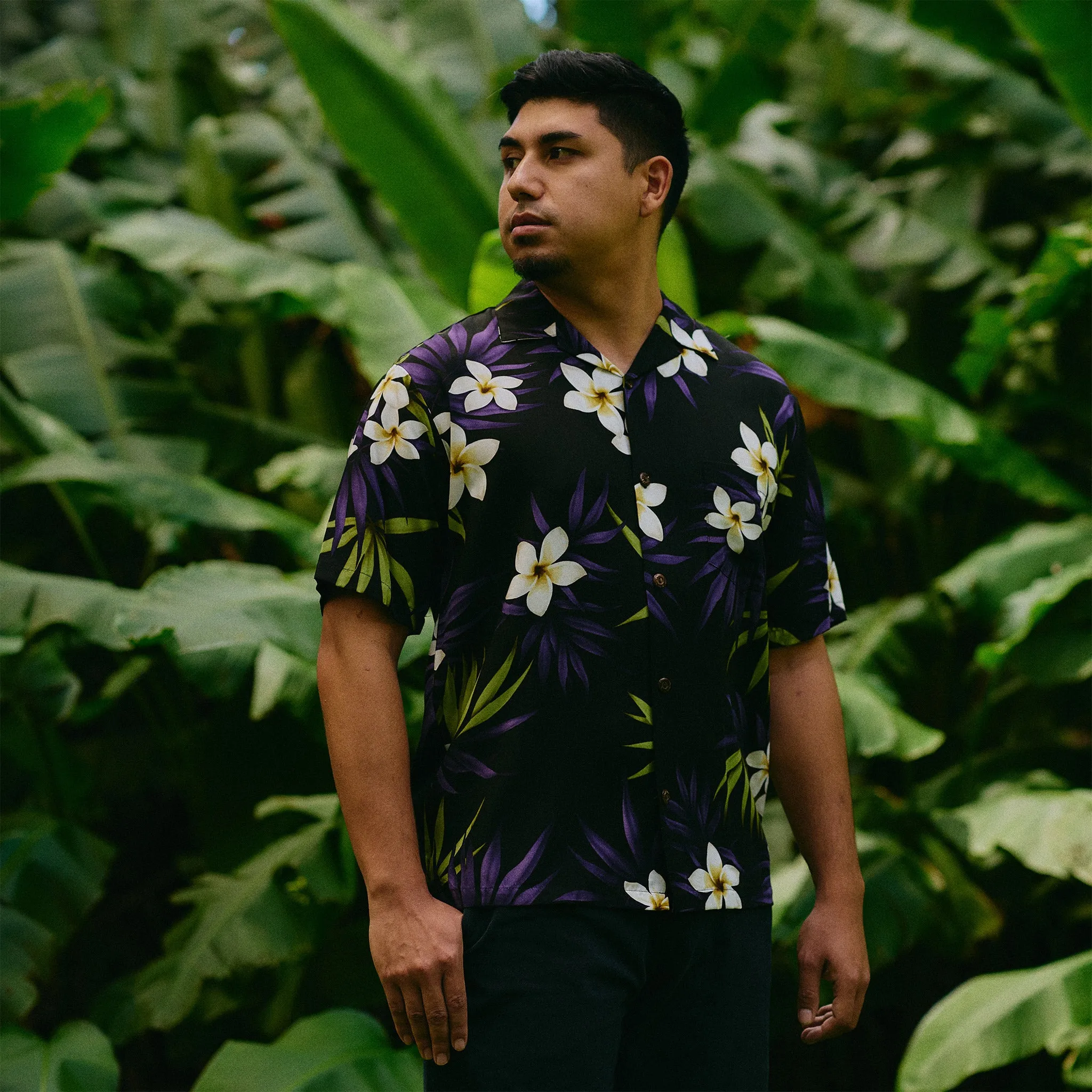 Plumeria Cluster Aloha Shirt